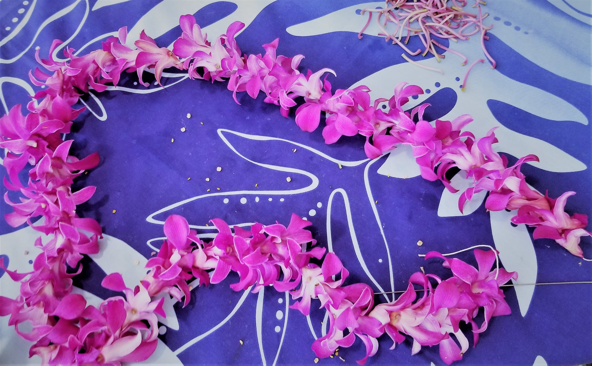 lei hawaïen Fleur frangipanier